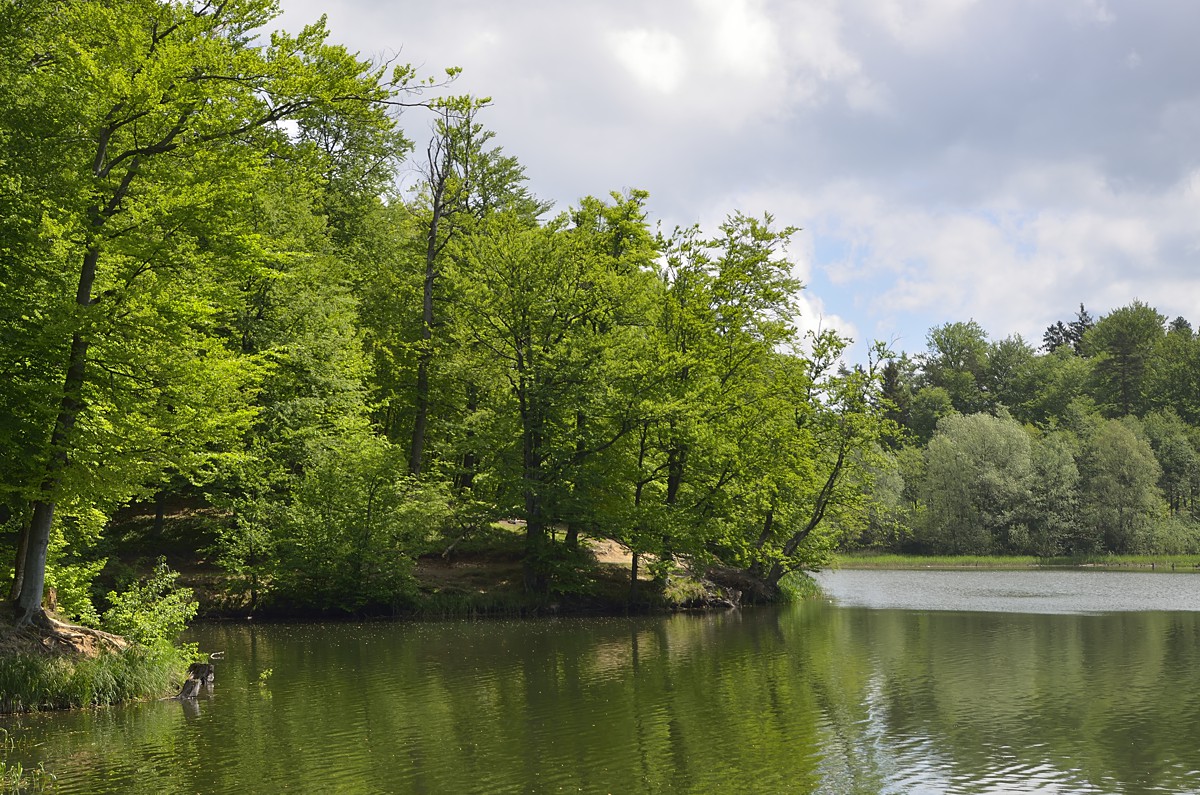 Wysoczyzna Elbląska